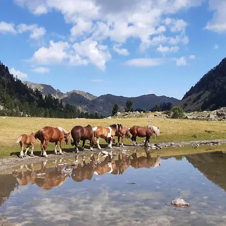 Daire 2p Au Centre De Cauterets, Balcon Sud - Fr-1-234-130